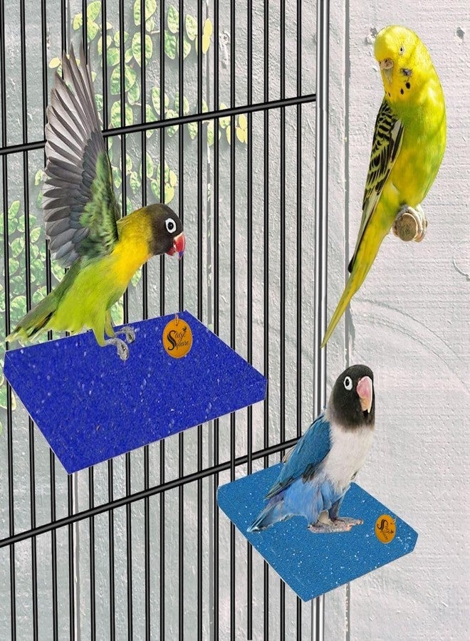 Sage Square Sand Platform Made of Natural Wood, Combo of Two (3 * 4 & 6 * 4.5 inches) Rectangle Shaped Perch Stand, Cage Accessories, Gym, Playful Toy, Suitable for Birds, Parrots, Budgies - Image 3